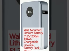 Batterie au lithium montée sur le mur 51.2V 200ah 10Kwh rechargeable LiFePo4