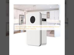 5KWh 48V 51.2V 100Ah Pièces électriques LiFePo4 montées sur le mur Pièces solaires pour la maison 5 ans de garantie